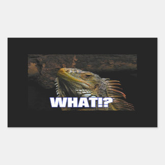 Pegatina Rectangular ¿¡Qué!? Iguana