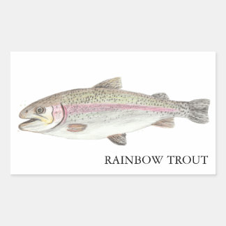 Pegatina Rectangular Rainbow Trout ニジマス