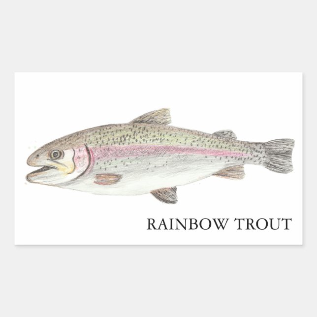 Pegatina Rectangular Rainbow Trout ニジマス (Anverso)