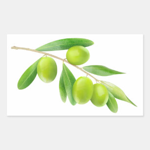 Pegatina Rectangular Rama de aceitunas verdes