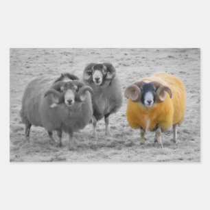 Pegatina Rectangular Rams escocés