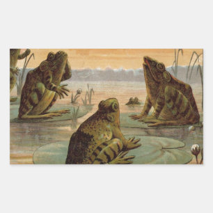 Pegatina Rectangular Ranas Lily Pads Moon Ilustracion
