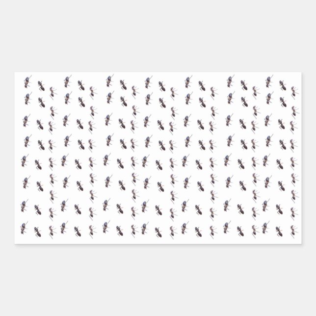 Pegatina Rectangular Rastros felices - hormiga #1 (Anverso)