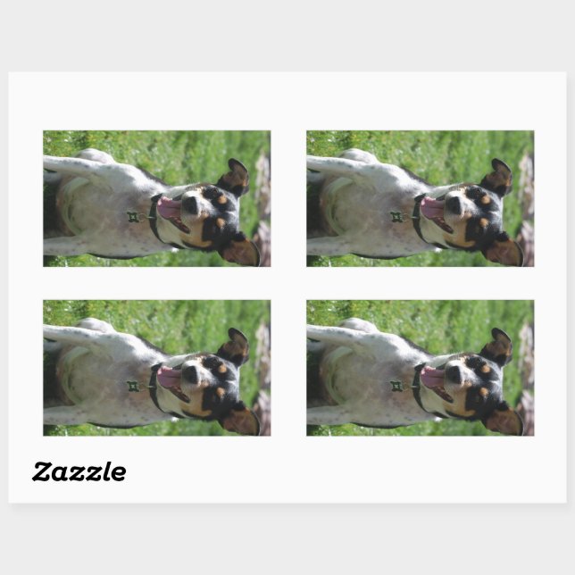 Pegatina Rectangular rata terrier lindo sentado (Hoja)