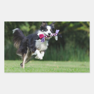 Pegatina Rectangular red de borde corriendo con juguete