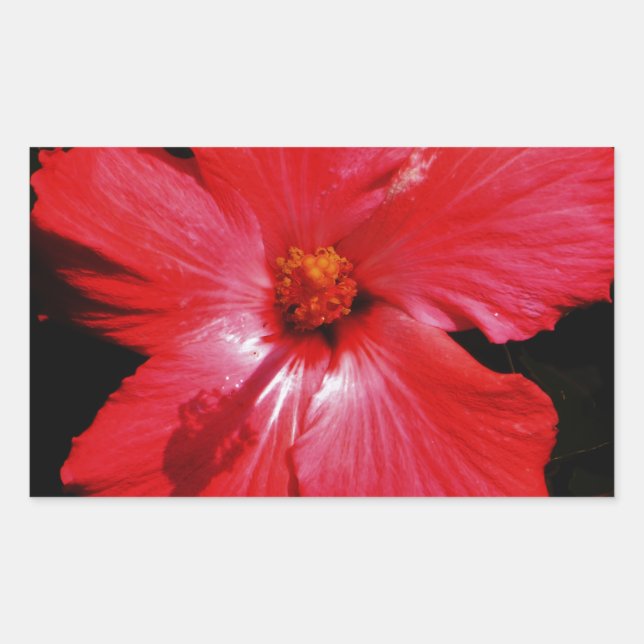Pegatina Rectangular Red Hibiscus (Anverso)