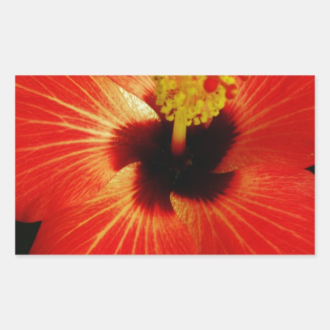 Pegatina Rectangular Red Hibiscus (Anverso)