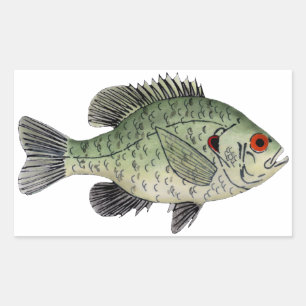 Pegatina Rectangular Redear Sunfish
