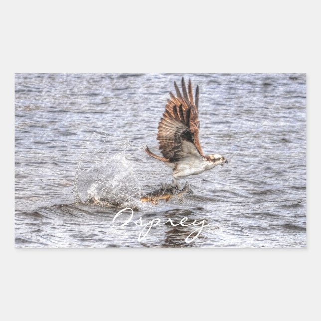 Pegatina Rectangular Regalo fotográfico de Flying Osprey & Fish HDR (Anverso)