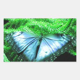 Pegatina Rectangular Respiración con mariposa azul irlandesa