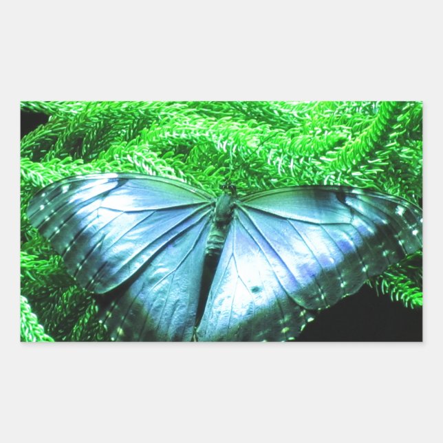 Pegatina Rectangular Respiración con mariposa azul irlandesa (Anverso)