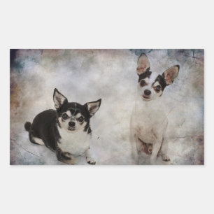 Pegatina Rectangular Retrato de dos chihuahuas