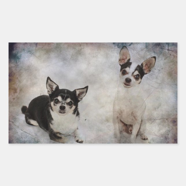 Pegatina Rectangular Retrato de dos chihuahuas (Anverso)