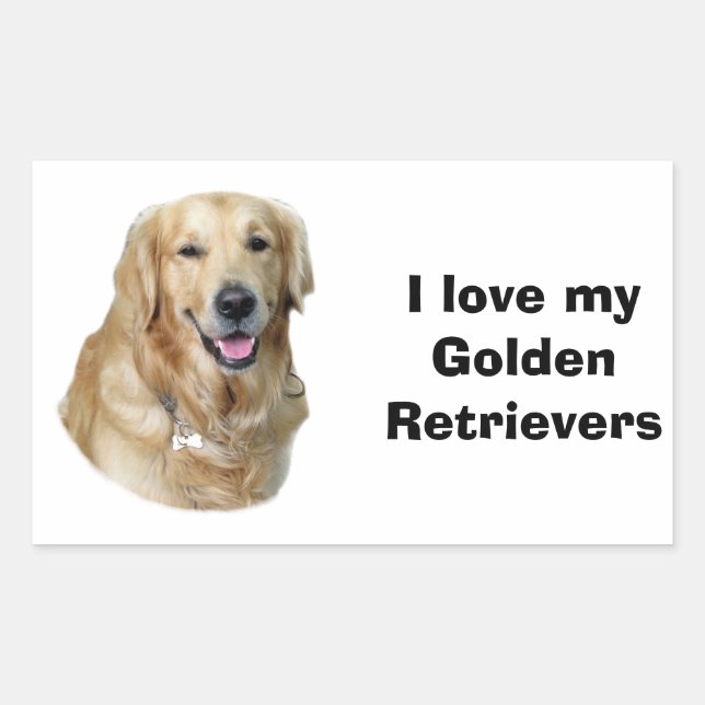 Pegatina Rectangular Retrato fotográfico de perro de Golden Retriever (Anverso)