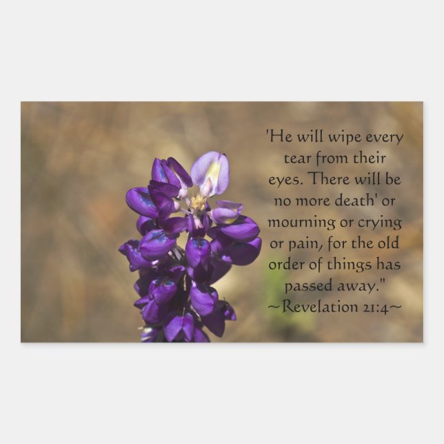 Pegatina Rectangular Revelación 21:4 (Anverso)