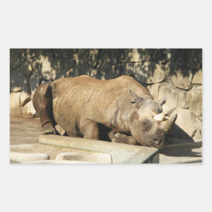 Pegatina Rectangular Rhino durmiente