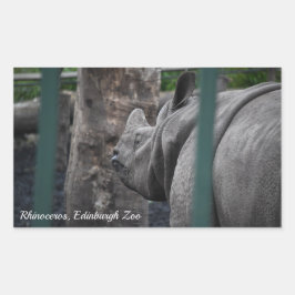 Pegatina Rectangular Rinocerontes unicornios en el zoológico de Edimbur