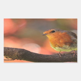 Pegatina Rectangular Robin en una rama