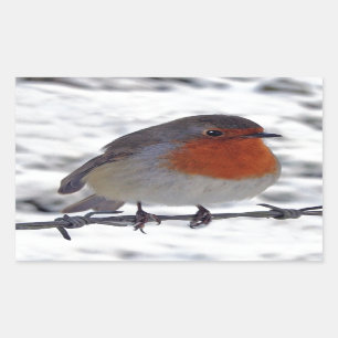 Pegatina Rectangular Robin Redmama