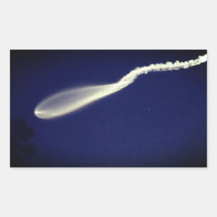 Pegatina Rectangular Rocket Jellyfish