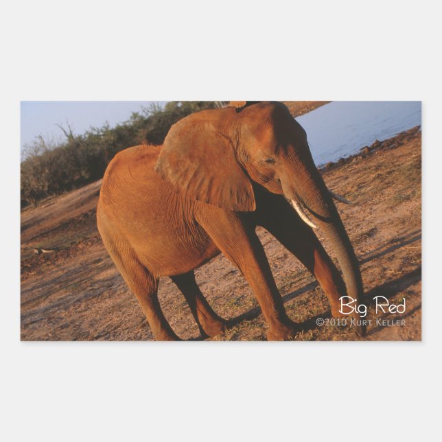 Pegatina Rectangular Rojo grande (Anverso)