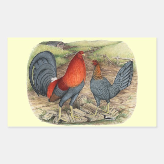 Pegatina Rectangular Rojos azules de juego americano (Anverso)