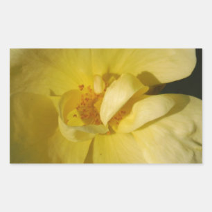 Pegatina Rectangular Rosa amarillo salvaje