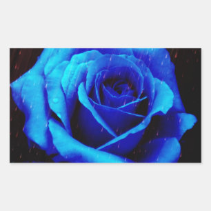 Pegatina Rectangular Rosa azul dramático