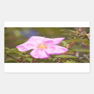 Pegatina Rectangular Rosa Briar