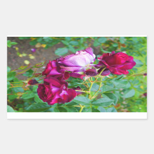 Pegatina Rectangular Rosa de Yonder azul salvaje #1-2 Pegatinas