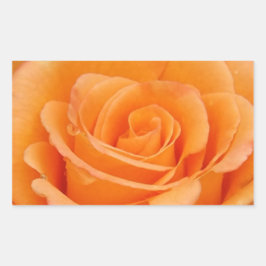 Pegatina Rectangular Rosa naranja