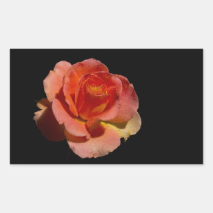PEGATINA RECTANGULAR ROSA NARANJA 2