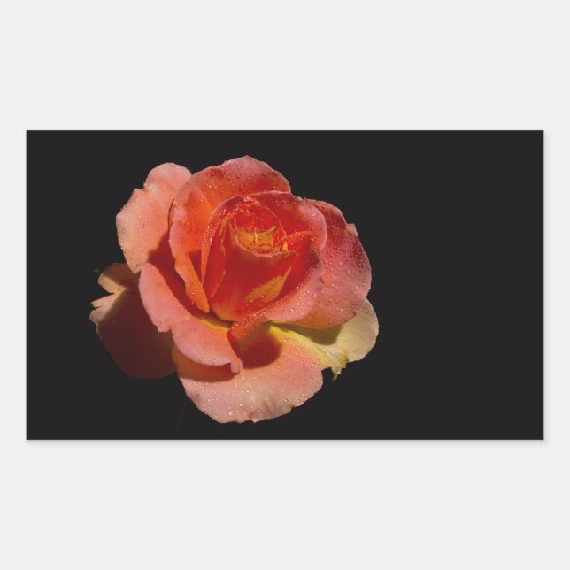 PEGATINA RECTANGULAR ROSA NARANJA 2 (Anverso)