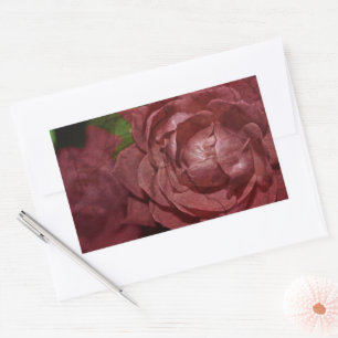 Pegatina Rectangular Rosa roja quebrada por Shirley Taylor