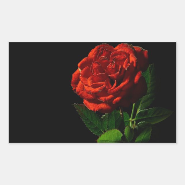 Pegatina Rectangular Rosa roja sobre floral negra (Anverso)