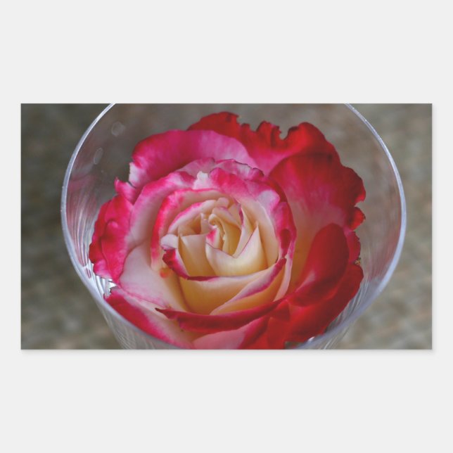 Pegatina Rectangular Rosa Rosa Cerrada En Vidrio Vino (Anverso)