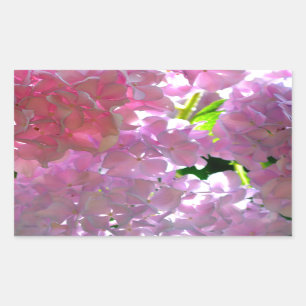 Pegatina Rectangular Rosas elegantes de flores de color rosa suave de h