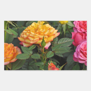 Pegatina Rectangular Rosas miniatura coloridas