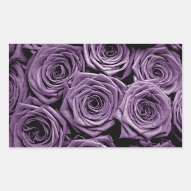 Pegatina Rectangular Rosas morados (Anverso)