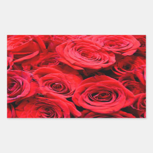 Pegatina Rectangular Rosas rojas flores rojas florales rojas