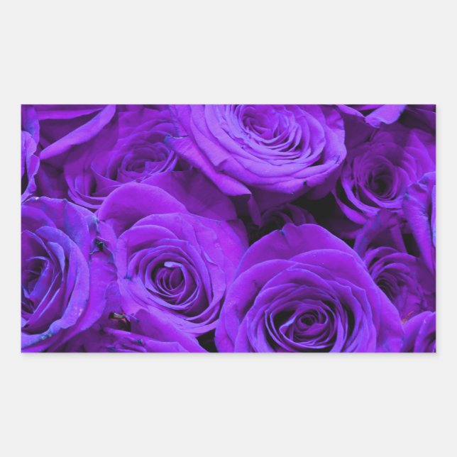 Pegatina Rectangular rosas violeta romántico violeta, ramo de rosa boni (Anverso)