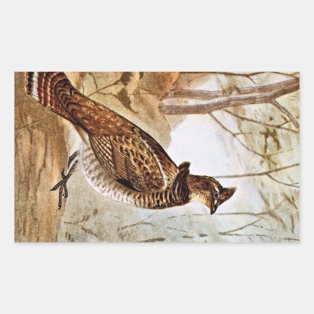 Pegatina Rectangular Ruffed Grouse (Anverso)
