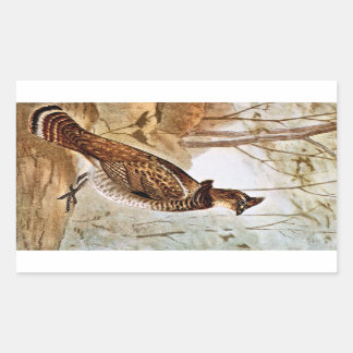 Pegatina Rectangular Ruffed Grouse