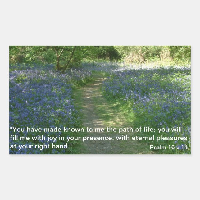 Pegatina Rectangular Ruta de la vida | PEGATINAS (Anverso)