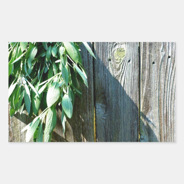 Pegatina Rectangular Sage Barn-wood de corte fresco (Anverso)
