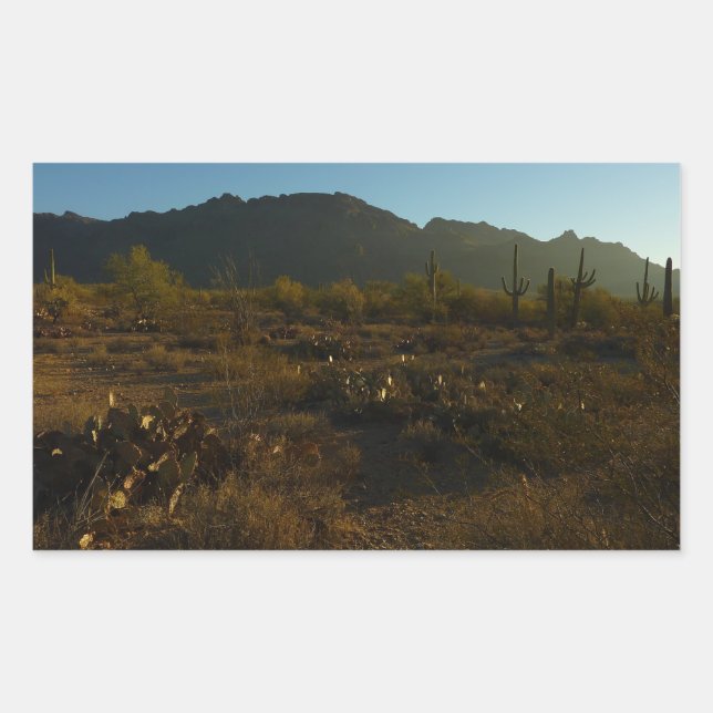 Pegatina Rectangular Saguaro Amanecer en el Parque Nacional Saguaro (Anverso)
