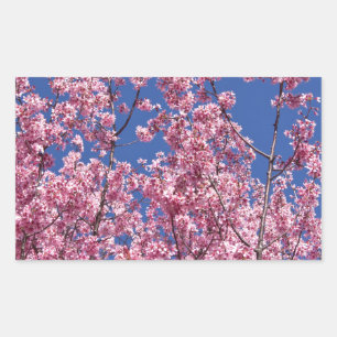 Pegatina Rectangular Sakura Flor de Cerezo en el Azul