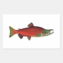 Pegatina Rectangular Salmón rojo (fase de desove)