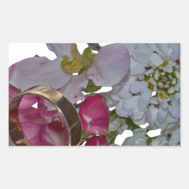 Pegatina Rectangular Saludos - Saludos (Anverso)