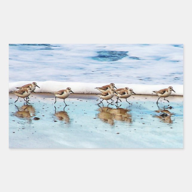 Pegatina Rectangular Sandpipers En La Playa (Anverso)